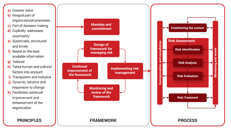 risk management process