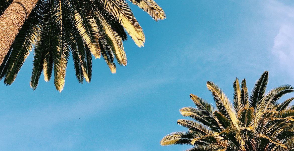 Florida-Sunshine-State