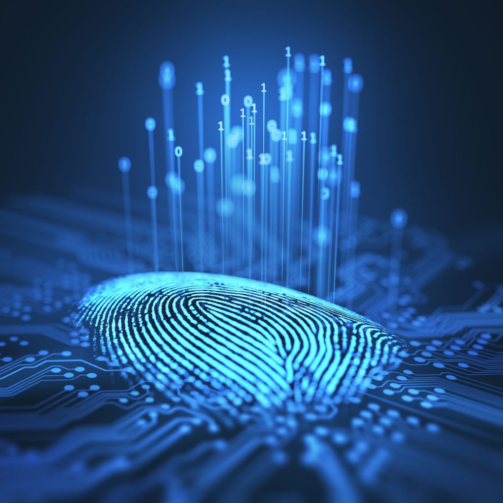 fingerprint identification