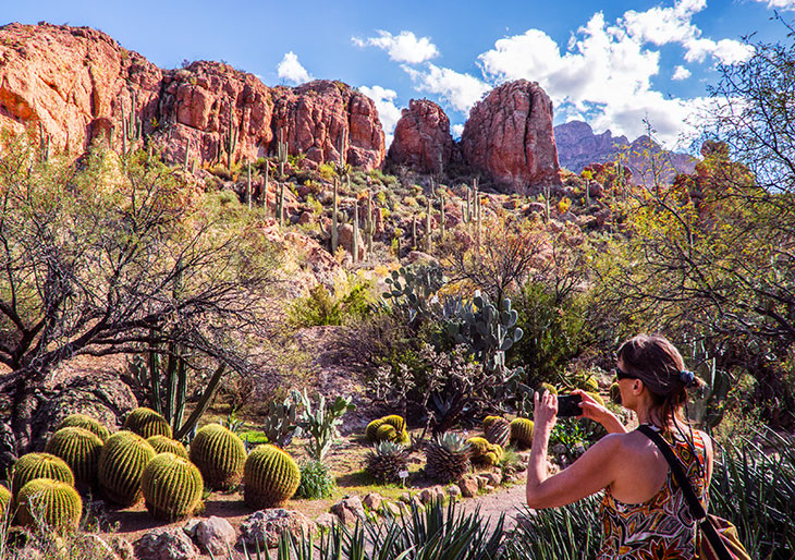 Desert-Botanical-Garden