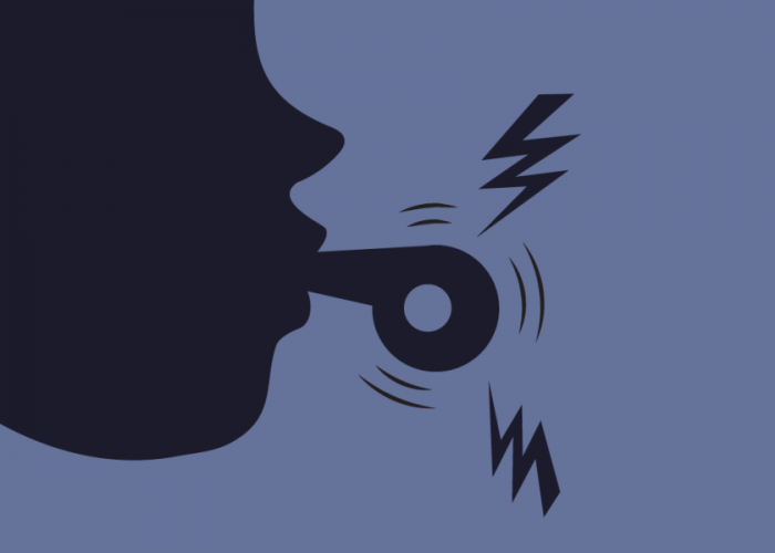 Blowing the Whistle on Civil Servants – Is It Worth the Risk?