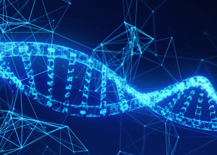 Blockchain Innovations in Healthcare