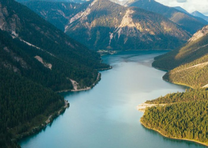 What’s next for the travel industry?