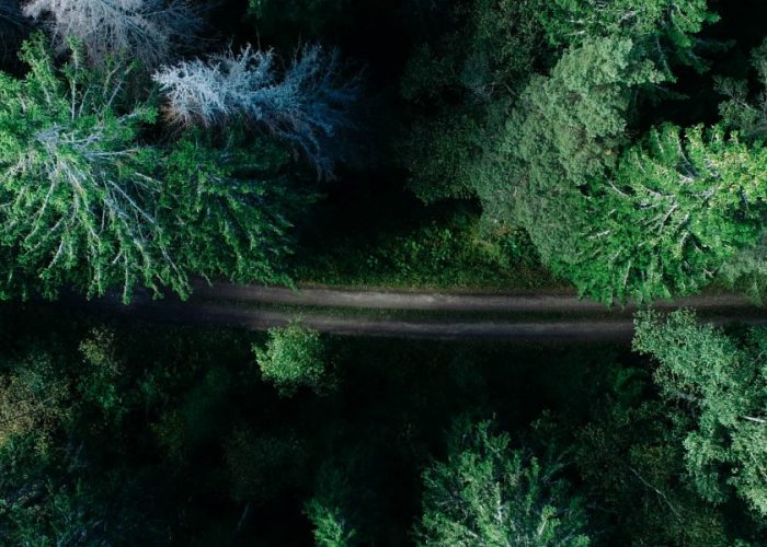 Foresight trend report: Changing the nature of consumption