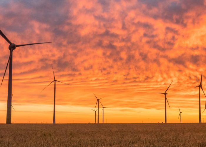 How governments and business leaders use standards to accelerate climate action
