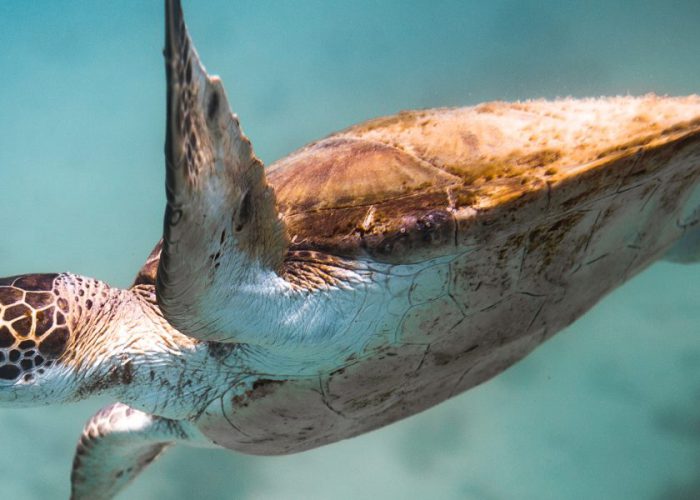 The biodiversity bottom line