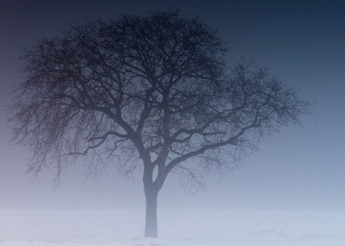 The urgency to transition