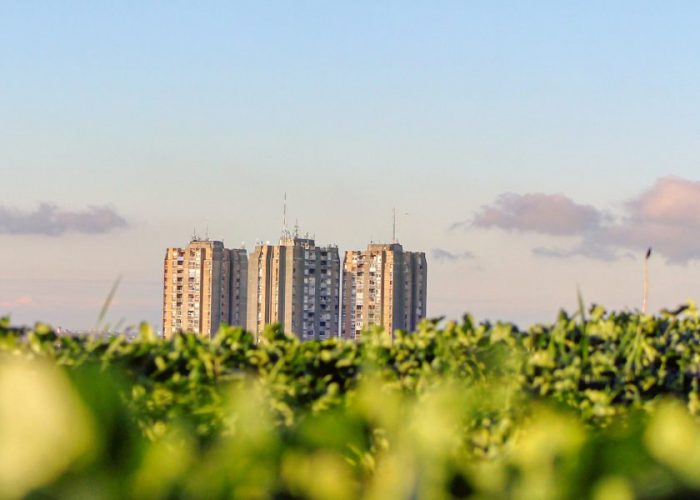 How to build sustainable future economies