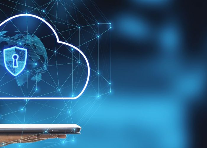 Securing the API-Driven World: Strategies for a Safe Digital Future