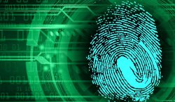 Adapting Security and Privacy Strategies to Meet Global Regulatory Pressures