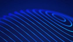 Three Disciplines, One Mission: Understanding the Roles of IT, Security,&hellip;