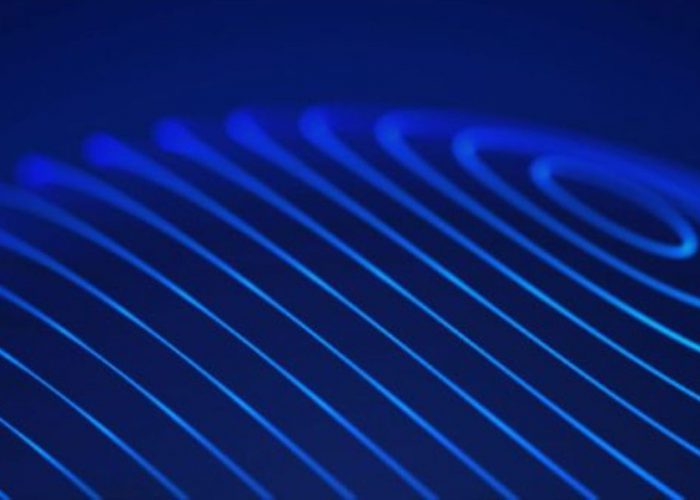 Three Disciplines, One Mission: Understanding the Roles of IT, Security, and Privacy